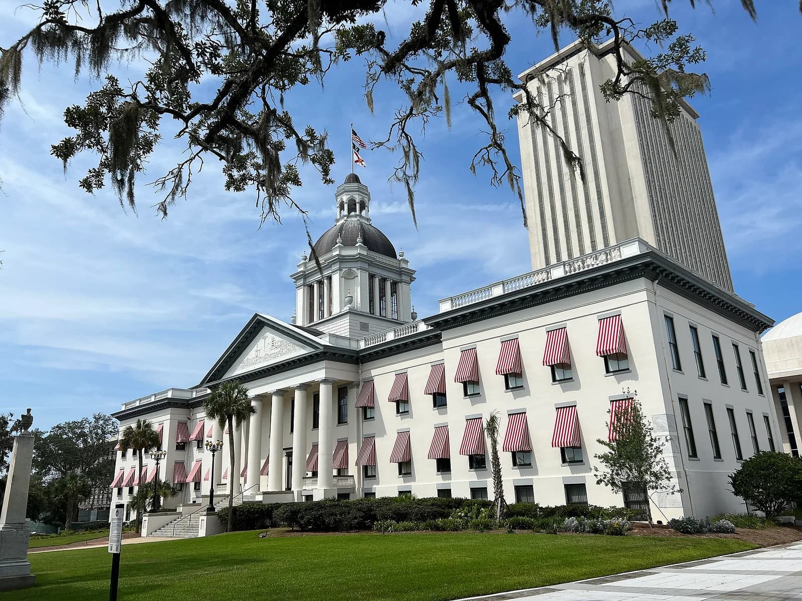 A white classical building with a dome and a tall, modern rectangular building behind it are visible under a blue sky. Spanish moss hangs from tree branches in the foreground.