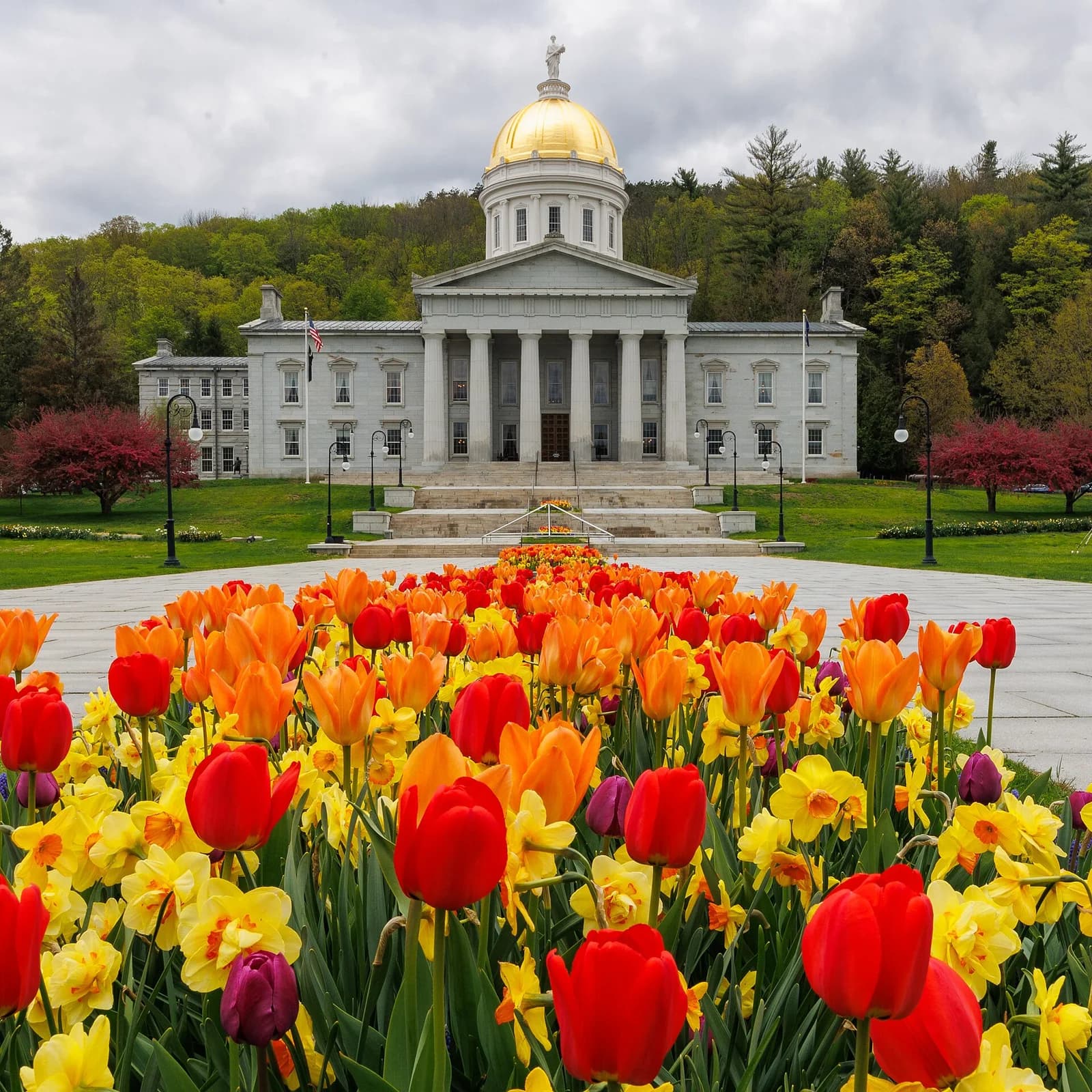 A grand white stone building with a golden dome and columns stands behind a vibrant bed of red, orange, yellow, and purple tulips and daffodils. The building is set against a backdrop of green hills and a cloudy sky.